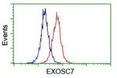 CyTOF-ready: Exosome component 7 Antibody (OTI1G8) - Azide and BSA Free [NBP2-71722] - Analysis of Jurkat cells, using anti-Exosome component 7 antibody, (Red), compared to a nonspecific negative control antibody (Blue).