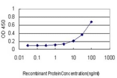 Sandwich ELISA: Exosome component 8 Antibody (1G5) [H00011340-M01] - Detection limit for recombinant GST tagged EXOSC8 is approximately 3ng/ml as a capture antibody.