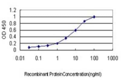 Sandwich ELISA: Ext2 Antibody (3G6) [H00002132-M01] - Detection limit for recombinant GST tagged EXT2 is approximately 0.1ng/ml as a capture antibody.