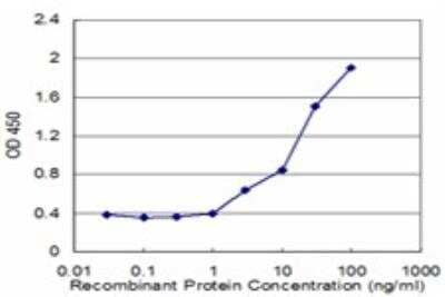 ELISA: FAAH Antibody (2C3) [H00002166-M02] - Detection limit for recombinant GST tagged FAAH is approximately 1ng/ml as a capture antibody.