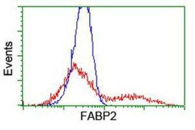 Flow Cytometry: FABP2/I-FABP Antibody (2C4) [NBP2-01239] - intestinal FABP Antibody (2C4) [NBP2-01239] - HEK293T cells transfected with either overexpression plasmid (Red) or empty vector control plasmid (Blue) were immunostained by anti-intestinal FABP antibody, and then analyzed by flow cytometry.