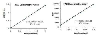 FAD Assay Kit (Fluorometric) [KA0808] - The standard curve is for the purpose of illustration only and should not be used to calculate unknowns. A standard curve should be generated each time the assay is performed.