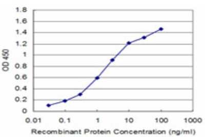 Sandwich ELISA: FADD Antibody (1D5) [H00008772-M03] - Detection limit for recombinant GST tagged FADD is approximately 0.03ng/ml as a capture antibody.