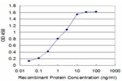 ELISA: FADD Antibody (1E8) [H00008772-M04] - Detection limit for recombinant GST tagged FADD is approximately 0.03ng/ml as a capture antibody.