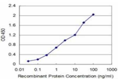 Sandwich ELISA: FADD Antibody (3C3) [H00008772-M02] - Detection limit for recombinant GST tagged FADD is approximately 0.1ng/ml as a capture antibody.