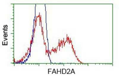 CyTOF-ready: FAHD2A Antibody (OTI6D9) - Azide and BSA Free [NBP2-71886] - HEK293T cells transfected with either pCMV6-ENTRY FAHD2A.(Red) or empty vector control plasmid (Blue) were immunostaining with anti-FAHD2A mouse monoclonal, and then analyzed by flow cytometry.