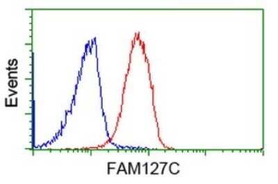 CyTOF-ready: FAM127C Antibody (OTI1A6) - Azide and BSA Free [NBP2-71867] - Analysis of Jurkat cells, using FAM127C antibody (Red), compared to a nonspecific negative control antibody (Blue).