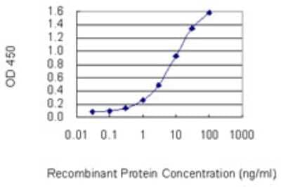 Sandwich ELISA: FAM65B Antibody (2E6-1B10) [H00009750-M01] - Detection limit for recombinant GST tagged FAM65B is 0.1 ng/ml as a capture antibody.