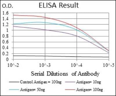 ELISA: FATP2/SLC27A2 Antibody (6B3A9) [NBP2-37738] - Red: Control Antigen (100ng); Purple: Antigen (10ng); Green: Antigen (50ng); Blue: Antigen (100ng);