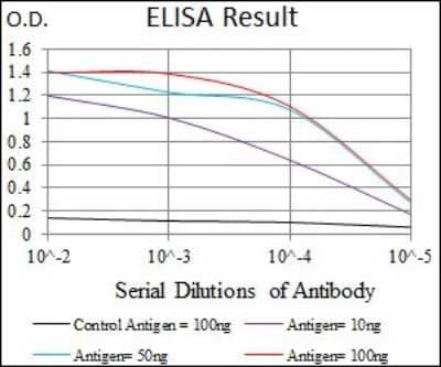 ELISA: FATP5/SLC27A5 Antibody (4B11C10) [NBP2-37413] - Red: Control Antigen (100ng); Purple: Antigen (10ng); Green: Antigen (50ng); Blue: Antigen (100ng);