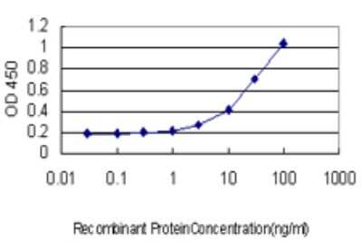 Sandwich ELISA: FBXL3 Antibody (3C4) [H00026224-M01] - Detection limit for recombinant GST tagged FBXL3 is approximately 1ng/ml as a capture antibody.