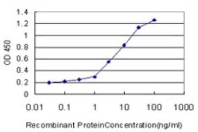 ELISA: FBXO11 Antibody (4C12) [H00080204-M01] - Detection limit for recombinant GST tagged FBXO11 is approximately 0.1ng/ml as a capture antibody.