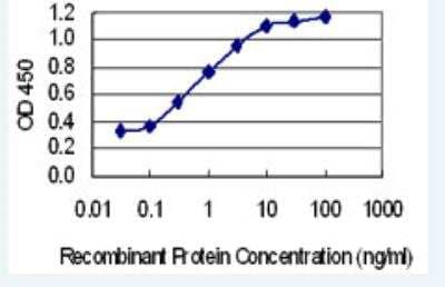 ELISA: FBXO41 Antibody (6B6) [H00150726-M02-100ug] - Detection limit for recombinant GST tagged FBXO41 is 0.03 ng/ml as a capture antibody.