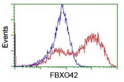 Flow Cytometry: FBXO42 Antibody (OTI1H4) - Azide and BSA Free [NBP2-71960] - Analysis of HEK293T cells transfected with either overexpress plasmid(Red) or empty vector control plasmid(Blue) were immunostaining by FBXO42 antibody.