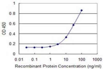 Sandwich ELISA: FDPS Antibody (3A6) [H00002224-M01] - Detection limit for recombinant GST tagged FDPS is 1 ng/ml as a capture antibody.