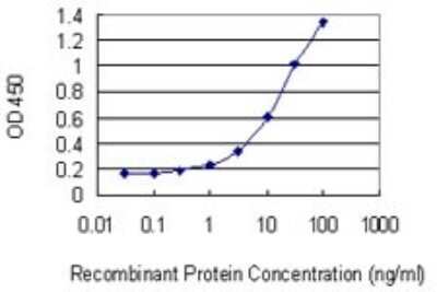 Sandwich ELISA FEM1B Antibody (4B12) - Azide and BSA Free