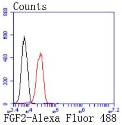 Flow Cytometry: FGF basic/FGF2/bFGF Antibody (JM28-10) [NBP2-66837] - Analysis of Jurkat cells with FGF2 antibody at 1/50 dilution (red) compared with an unlabelled control (cells without incubation with primary antibody; black). Alexa Fluor 488-conjugated goat anti rabbit IgG was used as the secondary antibody.