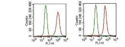 Flow Cytometry: FGFR1 Antibody (M17D10) - Azide and BSA Free [NBP2-80733] - Analysis of FGF R1 in HEK293 cells (2x10^6 cells/ml) were stained with FGF R1 antibody (NB100-2080, red) at 1:1000 dilution. Detected with FITC conjugated goat anti-mouse IgG1 isotype control (green). Two distinct samples shown. Image from the standard format of this antibody.