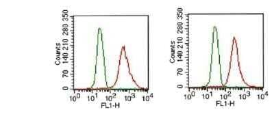 Flow Cytometry: FGFR1 Antibody (M17D10) - Azide and BSA Free [NBP2-80733] - Analysis of FGF R1 in MCF-7 cells (1x10^6 cells/mL) were stained with FGF R1 antibody (NB100-2080, red) at 1:1000. Detected with FITC conjugated goat anti-mouse IgG1 isotype control (green). Two distinct samples shown. Image from the standard format of this antibody.