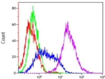 Flow Cytometry: FGFR1 Antibody (M19B2) - Azide and BSA Free [NBP2-80735] - Analysis using the Alexa Fluor 488 (R) conjugate of NB600-1287. Staining of FGF R1 in HEK293 and HEK293 FGFR transfected cells using anti-FGF R1 antibody. (Red) Positive cells, (Green) Negative cells, (Blue) Negative cells + antibody, (Pink) Positive cells + antibody. Image from verified customer review.