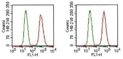 Flow Cytometry: FGFR1 Antibody (M2F12) - Azide and BSA Free [NBP2-80734] - Analysis of FGF R1 in HEK293 cells (2 x10^6) stained with FGF R1 antibody (NB120-829, red) at a 1:1000 dilution and detected with a FITC conjugated goat anti-mouse IgG. Shown with mIgG2a isotype control (green). Two distinct samples shown. Image from the standard format of this antibody.