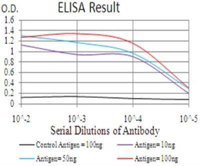 ELISA: FGFR3 Antibody (1E3F9) [NBP2-52469] - Black line: Control Antigen (100 ng); Purple line: Antigen(10ng); Blue line: Antigen (50 ng); Red line: Antigen (100 ng).