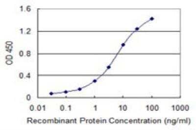 ELISA: FGL2/Fibroleukin Antibody (5A10) [H00010875-M02] - Detection limit for recombinant GST tagged FGL2 is 0.03 ng/ml as a capture antibody.