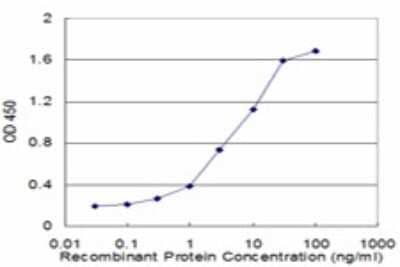 Sandwich ELISA: FHL3 Antibody (2C10) [H00002275-M01] - Detection limit for recombinant GST tagged FHL3 is approximately 0.3ng/ml as a capture antibody.