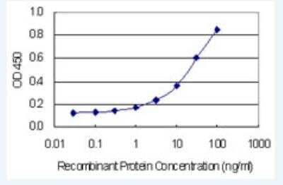 ELISA: FIGN Antibody (2F8) [H00055137-M02-100ug] - Detection limit for recombinant GST tagged FIGN is 0.3 ng/ml as a capture antibody.
