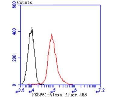 Flow Cytometry: FKBP51/FKBP5 Antibody (JB95-39) [NBP2-75490] - Analysis of Daudi cells with FKBP51 antibody at 1/100 dilution (red) compared with an unlabelled control (cells without incubation with primary antibody; black). Alexa Fluor 488-conjugated goat anti rabbit IgG was used as the secondary antibody.