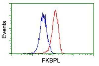 Flow Cytometry: FKBPL Antibody (OTI2D8) - Azide and BSA Free [NBP2-72125] - Analysis of Hela cells, using anti-FKBPL antibody, (Red), compared to a nonspecific negative control antibody (Blue).