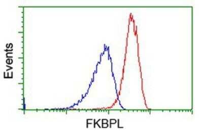 Flow Cytometry: FKBPL Antibody (OTI2D8) - Azide and BSA Free [NBP2-72125] - Analysis of Jurkat cells, using anti-FKBPL antibody, (Red), compared to a nonspecific negative control antibody (Blue).