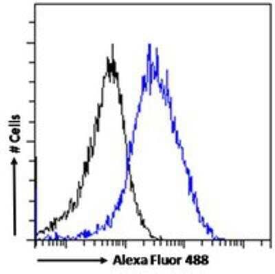 Flow Cytometry: FLAP Antibody [NB300-891] - Flow cytometric analysis of paraformaldehyde fixed MCF7 cells (blue line), permeabilized with 0.5% Triton. Primary incubation 1hr (10ug/ml) followed by Alexa Fluor 488 secondary antibody (1ug/ml). IgG control: Unimmunized goat IgG (black line) followed by Alexa Fluor 488 secondary antibody.