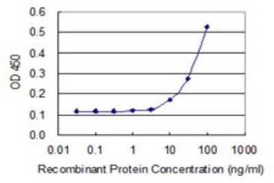 Sandwich ELISA: FLJ98241 Antibody (3A2) [H00220594-M03] - Detection limit for recombinant GST tagged LOC220594 is 3 ng/ml as a capture antibody.
