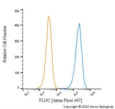 Flow Cytometry: FLNC Antibody [Alexa Fluor® 647] [NBP2-79816AF647] - An intracellular stain was performed on U2-OS cells with FLNC NBP2-79816AF647 (blue) and a matched isotype control NBP2-24891 (orange). Cells were fixed with 4% PFA and then permeabilized with 0.1% saponin. Cells were incubated in an antibody dilution of 2.5 ug/mL for 30 minutes at room temperature.  Both antibodies were conjugated to Alexa Fluor 647.