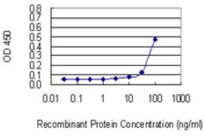 Sandwich ELISA: FLRT1 Antibody (4E10) [H00023769-M04] - Detection limit for recombinant GST tagged FLRT1 is 10 ng/ml as a capture antibody.