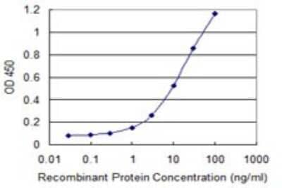 Sandwich ELISA: FLVCR Antibody (4B2) [H00028982-M05] - Detection limit for recombinant GST tagged FLVCR1 is 0.3 ng/ml as a capture antibody.