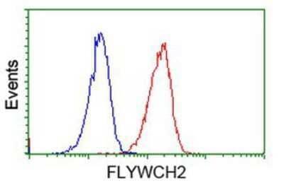 Flow Cytometry: FLYWCH2 Antibody (3G3) [NBP2-00646] - Analysis of Jurkat cells, using anti-FLYWCH2 antibody, (Red), compared to a nonspecific negative control antibody (Blue).