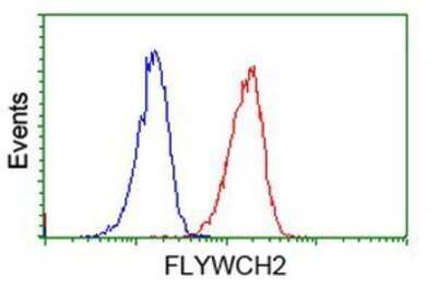 Flow Cytometry: FLYWCH2 Antibody (OTI3G3) - Azide and BSA Free [NBP2-72341] - Analysis of Jurkat cells, using anti-FLYWCH2 antibody, (Red), compared to a nonspecific negative control antibody (Blue).