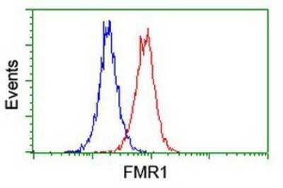Flow Cytometry: FMRP Antibody (OTI1C6) - Azide and BSA Free [NBP2-70756] - Analysis of Jurkat cells, using anti-FMRP antibody, (Red), compared to a nonspecific negative control antibody (Blue).