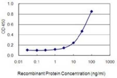 Sandwich ELISA: FNBP1L Antibody (1E6) [H00054874-M01] - Detection limit for recombinant GST tagged FNBP1L is 1 ng/ml as a capture antibody.