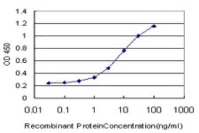 Sandwich ELISA: FNDC3A Antibody (2H4) [H00022862-M01] - Detection limit for recombinant GST tagged FNDC3A is approximately 0.3ng/ml as a capture antibody.