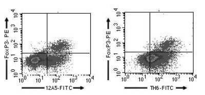 Flow Cytometry: FOLR4 Antibody (12A5) [FITC] [NBP2-26660] - Analysis of intracellular FoxP3 and cell surface FR4 with clone 12A5 (left) and with clone TH6 (right) at 0.06 ug/10^6 mouse splenocytes.