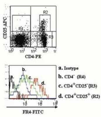 Flow Cytometry: FOLR4 Antibody (12A5) [NBP2-26652] - Analysis using the FITC conjugate of NBP2-26652. Tri-color staining of BALB/c splenocytes for FR4 FITC CD4 PE (BD) and CD25 APC. CD4+CD25+, CD4+CD25- and CD4- cells were analyzed for FR4 expression by flow cytometry. Rat IgG2b, k FITC was used as the isotype control.