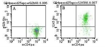 Flow Cytometry: FOLR4 Antibody (12A5) [NBP2-26652] - Analysis using Azide Free version of NBP2-26652. CD4+CD25+ gated mouse splenocytes using A) rat IgG2b isotype control and B) NBP2-26658 (clone 12A5) at 0.06 ug/10^6 cells.