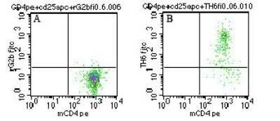 Flow Cytometry: FOLR4 Antibody (TH6) - Azide Free [NBP2-26657] - analysis using folate receptor 4 antibody. CD4/25+ gated mouse splenocytes probed using A) rat IgG2b isotype control antibody and B) folate receptor 4 antibody at 0.06 ug/10^6 cells.