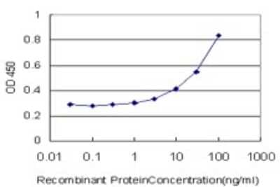 Sandwich ELISA: FOXD1 Antibody (2C10) [H00002297-M01] - Detection limit for recombinant GST tagged FOXD1 is approximately 1ng/ml as a capture antibody.