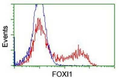 Flow Cytometry: FOXI1 Antibody (OTI1D4) - Azide and BSA Free [NBP2-70747] - HEK293T cells transfected with either overexpression plasmid (Red) or empty vector control plasmid (Blue) were immunostaining by anti-FOXI1 antibody, and then analyzed by flow cytometry.