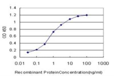 ELISA: FOXO3 Antibody (1B11) [H00002309-M02] - Detection limit for recombinant GST tagged FOXO3A is approximately 0.03ng/ml as a capture antibody.