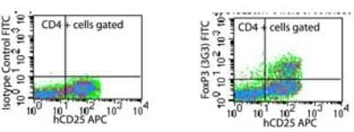 Flow Cytometry: FoxP3 Antibody (3G3) [FITC] [NBP2-26668] - FOXP3 Antibody (3G3) [FITC] [NBP2-26668] - Analysis of FOXP3 in human PBMCs stimulated with anti-hCD3 (5 ug/ml) and rhIL-2 (10 ng/ml) for 48 hours using isotype control (left) and this antibody. 5 ug/10^6 cells. Products used: anti-CD4 PE conjugate , anti-CD25 APC conjugate , anti-FOXP3 FITC conjugate .